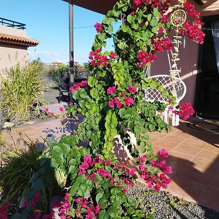 Lugar Del Alma Tatil Evi La Oliva